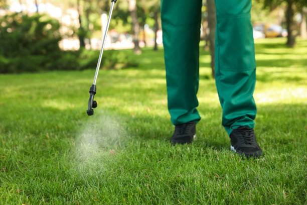 Best Affordable Pest Control Services  in Burney, CA