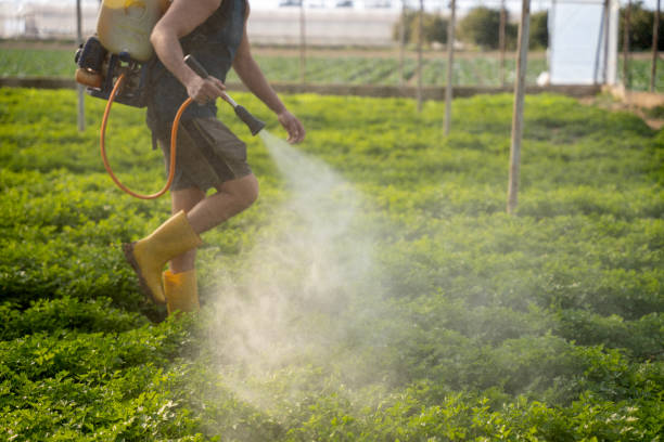 Best Pest Control Near Me  in Burney, CA