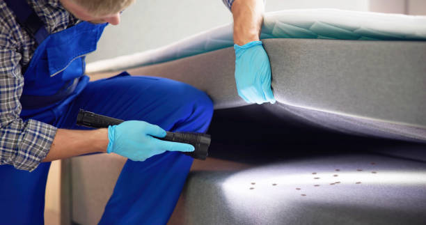 Best Cockroach Control Services  in Burney, CA