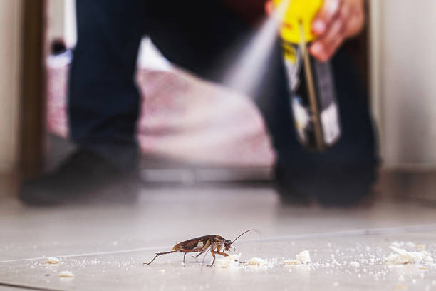 Best Rodent Control Near Me  in Burney, CA